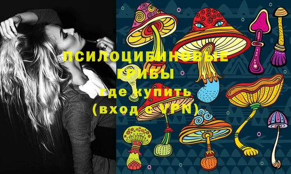 амфетамин Алексин