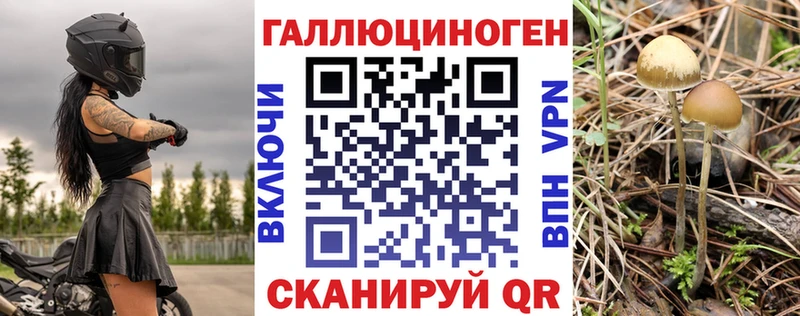 Галлюциногенные грибы прущие грибы  Краснообск 